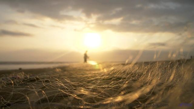 Лесные пейзажи качаются на нотах, как на волнах - Music -- A. Cooper -- A.