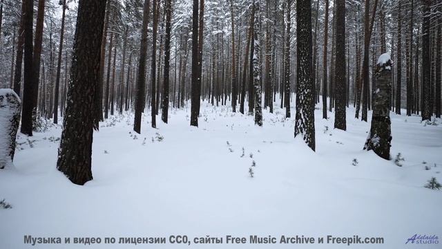 Музыка, которая ЛОМАЕТ реальность! - Clooney (CB 232) -- Checkie Brown -- Appendix