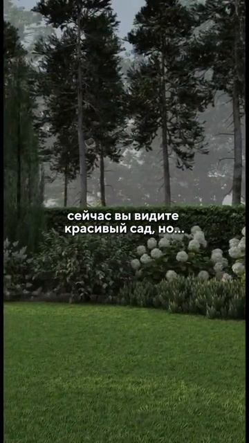Проконсультируйтесь для выбора оптимальных растений, которые подойдут для вашего участка! #сад