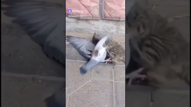 Дети+
