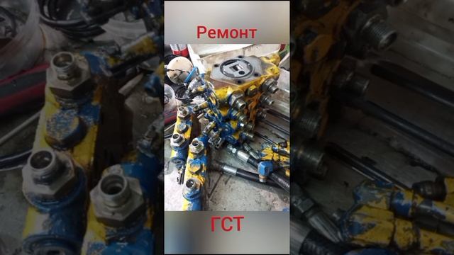 1000031017.mp4