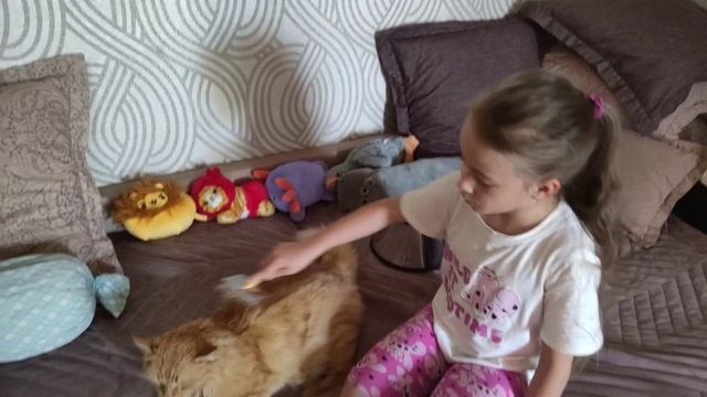 Знакомство с котом Кузей! 🐈
