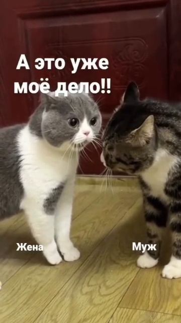 1000182310.mp4