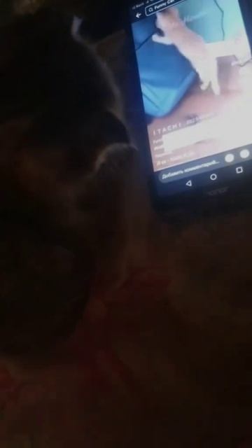 oksinya36_2025-06-20-12-50-26_1750405826912.mp4