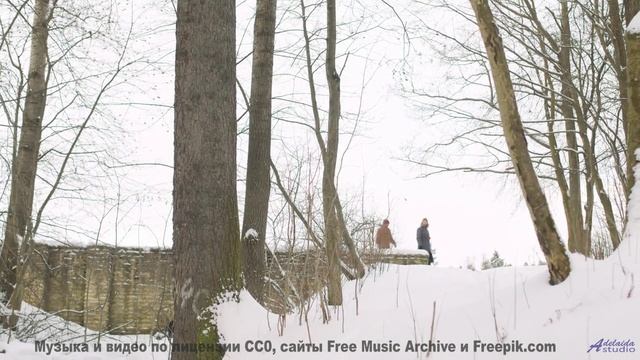 Почему это видео СМОТРЯТ 247 - The Karmic Brainseed Wheel -- Omniman -- Unnamed album