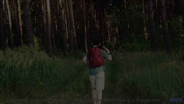Сердце расцветает на фоне лесов и мощного саунда - 420 -- Ketsa -- Equinox Rising