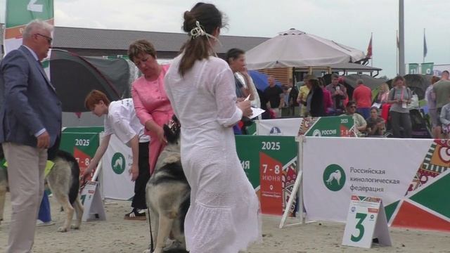 Класс чемпионов