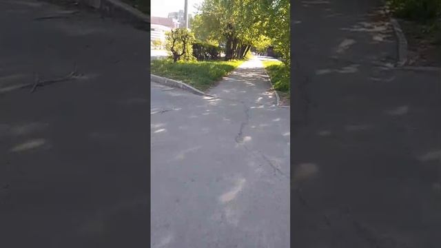 1000042493.mp4