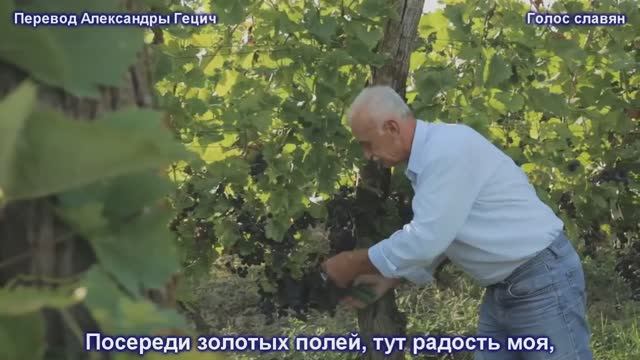 Завет - сербская песня