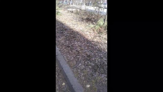 Старое общежитие. Тут живут семейные люди. 129 квартир. Но ЖЭК не делает ремонт и не убирает.