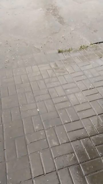 град.