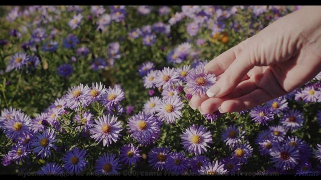 Пейзажи заставляют забыть про реальность с этим саундом - Baby Doll -- Duncan Reid and the Big Heads