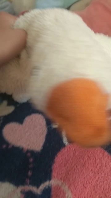 Мы любим вас❤️