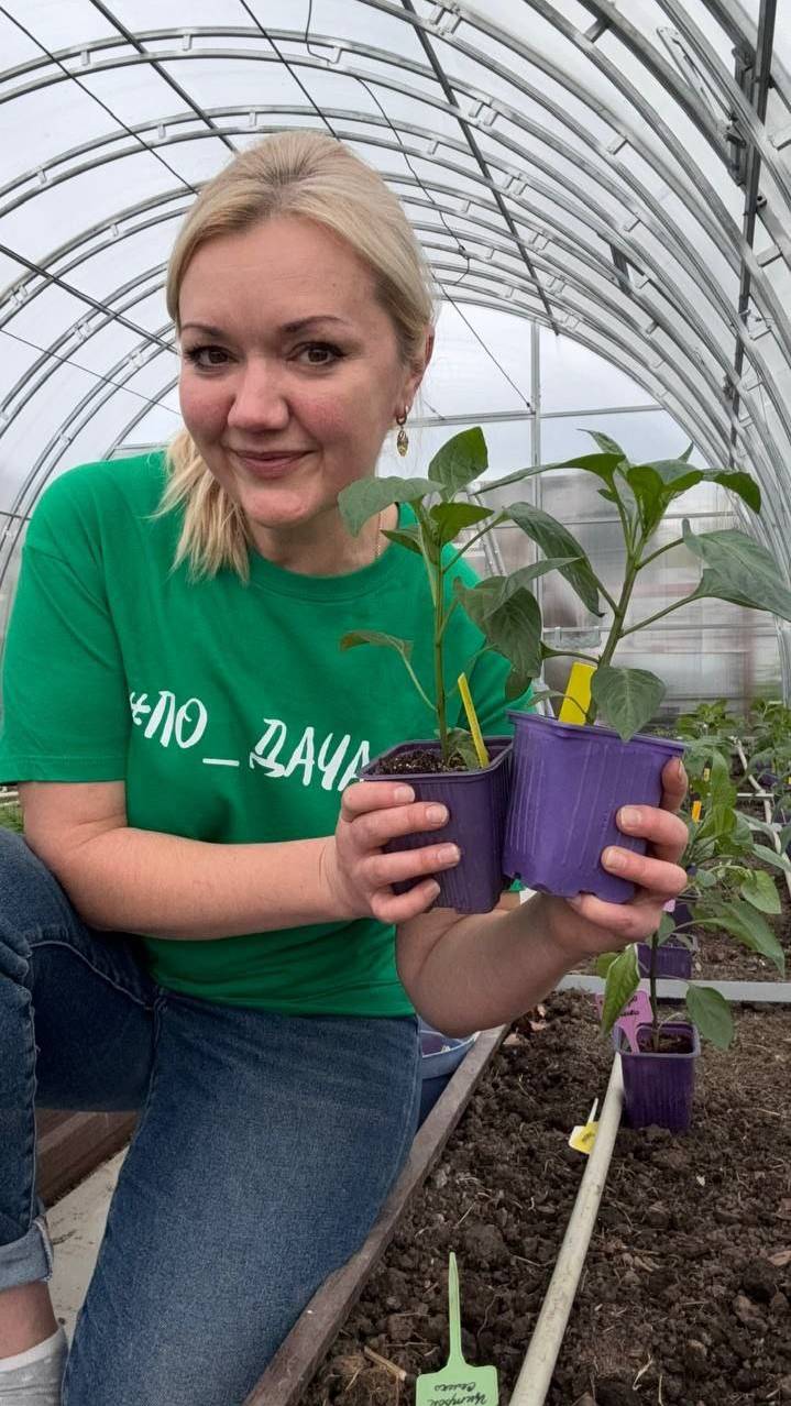 407. Переезд рассады