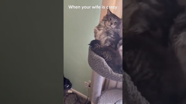 1000049880.mp4