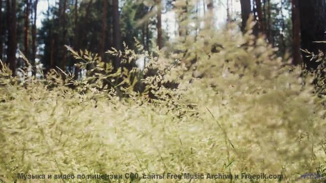 Природа создала эти пейзажи, а мы добавили идеальный саундтрек! - Here Comes The Science Bit -- Pudg