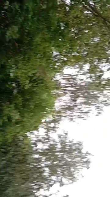 scene_output.mp4
