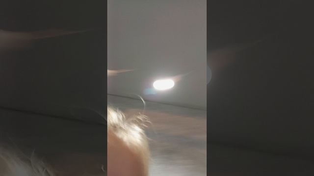 готовлю бабл ти дома