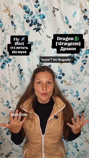 Dragonfly.mp4