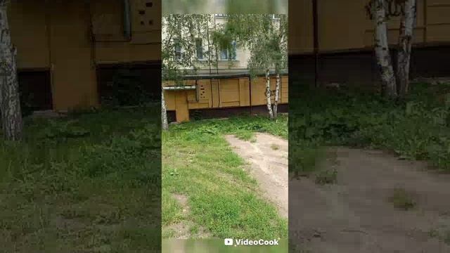 супер тренировка на турниках