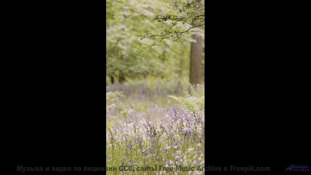 Эти пейзажи заряжают, а музыка - взрывает! - My Fault -- Small Tall Order -- B Sides