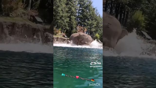 VID_20250620_201033_967.mp4