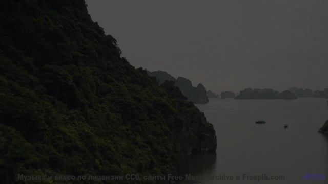 Лесные тропы под эту музыку зовут уйти навсегда - Parasite -- Nihilore -- Best of 2020-2024