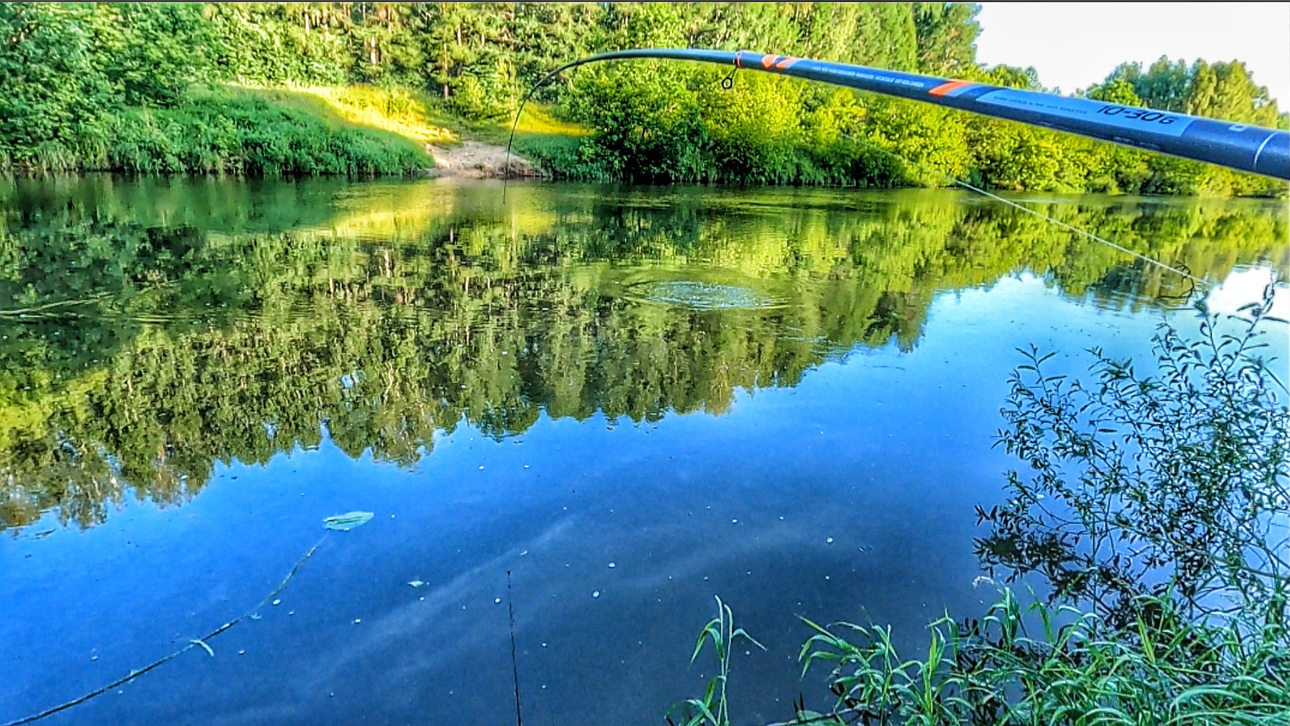 5 МИНУТ БОРЬБЫ С ГИГАНТОМ И МОРЕ АДРЕНАЛИНА!РЫБАЛКА НА ПОПЛАВОК У ДОМА!🎣