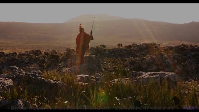 Камера ведёт туда, где заканчиваются слова и начинается звук - Shot -- The Hipshakes -- Live at WFMU