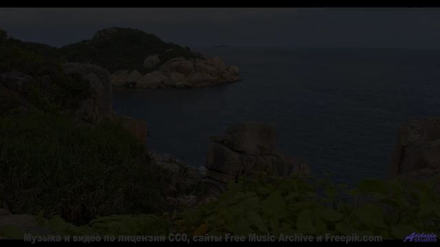 Видео, генерируемое ИИ в реальном времени - технологии поражают! - Follow Your Heart -- Tadz -- My W