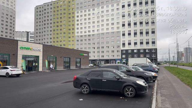 СПб, ул. Пейзажная, д. 32 - трафик
