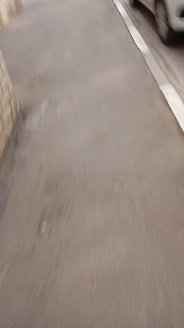 АЛИСА ВОЖАТАЯ!! 🤯🤯