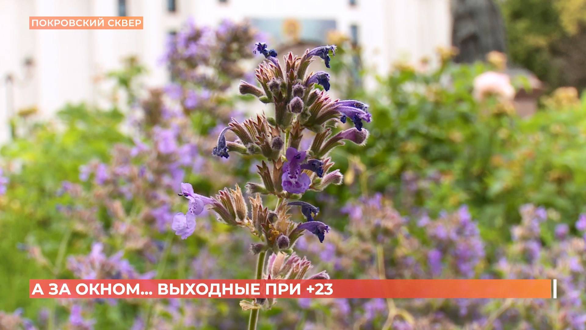 А за окном. 20 июня 2025