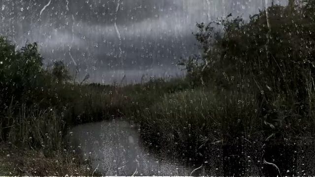 Звуки дождя и природы перед сном, крепкое спокойствие