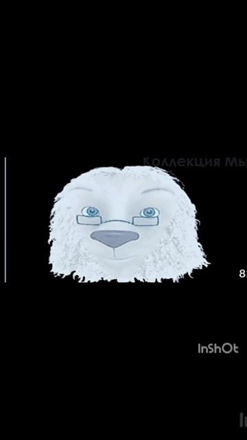 InShot_20250620_090937103.mp4