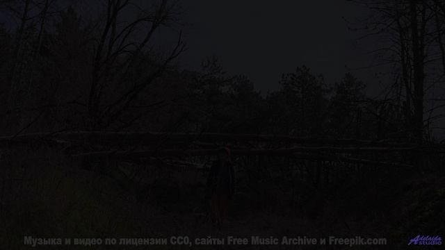 Эти виды + этот бит = бесконечный кайф! - Imports -- Ketsa -- Unified Division