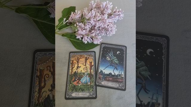 Тельцы ♉, ваша неделя с 23 по 29 июня.