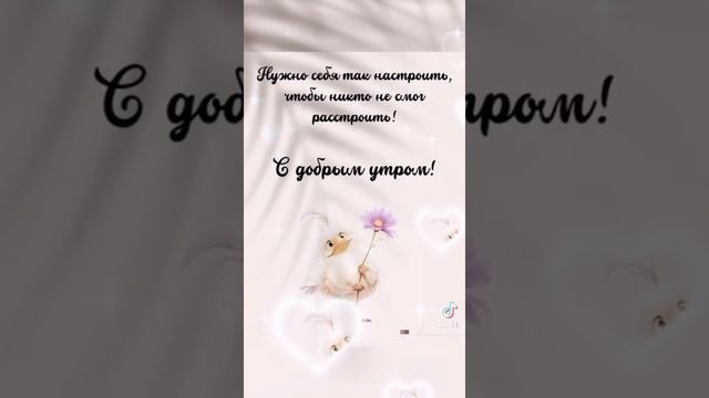 VID-20250617-WA0303