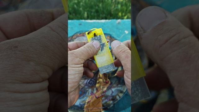 Как повысить приём матки!