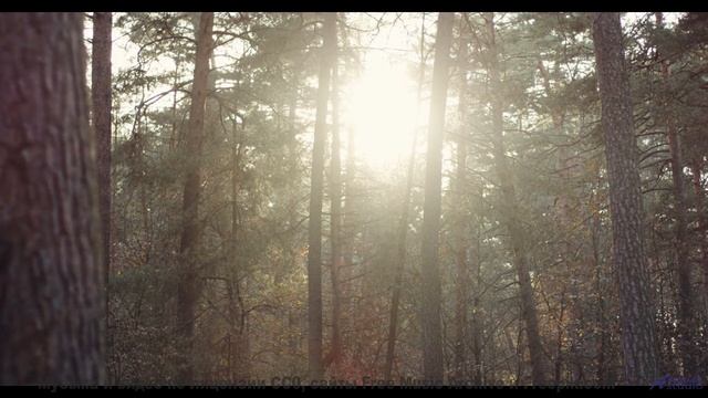 Ты НЕ ДОГАДАЕШЬСЯ, где это снято! - Waves -- HoliznaCC0 -- Lazy Summer Lofi