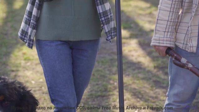 Каждая сцена бьёт по чувствам мощнее любого фильма - Look Around -- Derek Clegg -- Faces (re-release
