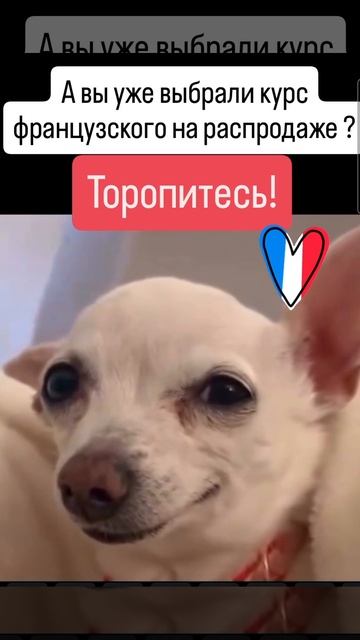 Сегодня ПОСЛЕДНИЙ день распродажи!

Друзья, часики тикают! Завтра цены на курсы взлетят обратно.