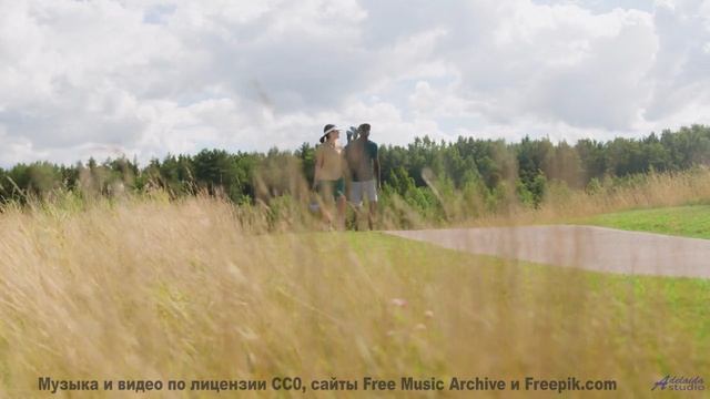 Эта мелодия делает мир ещё прекраснее - Violences -- Roboy -- Le Petit chat doit mourir