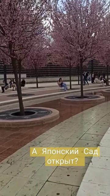 #паркКраснодар #ЯпонскийСад