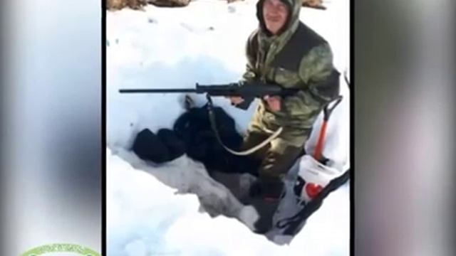 День Папы