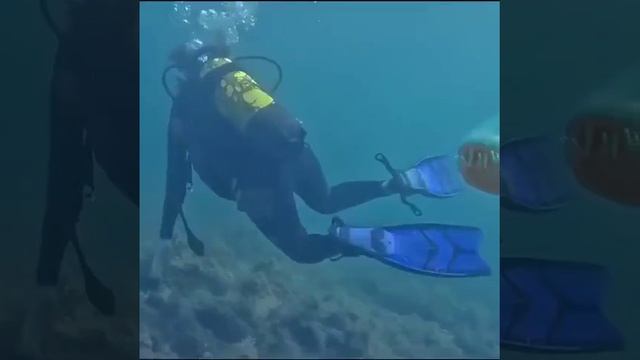 VID-20250617-WA0305
