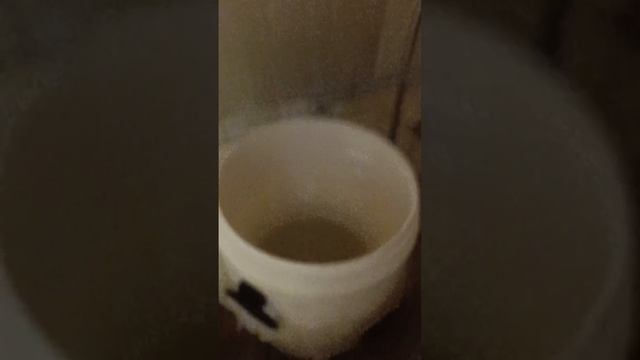 Домашние Котики окажутся  под обстрелами и бомбежками !!!💣💥🚀
Горловка. 🆘ТЕРРИТОРИЯ СВО🆘. 🚀💥💣