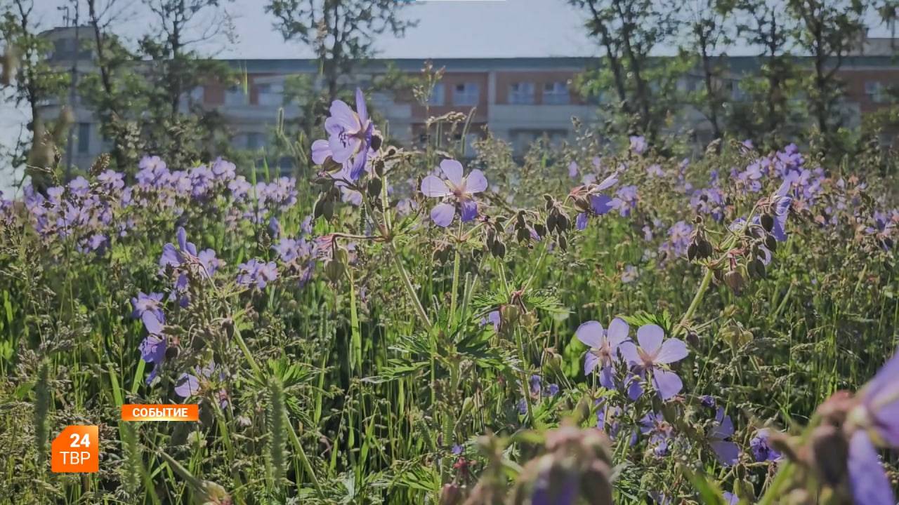 Прогноз погоды