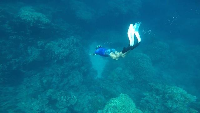 My freediving in Jazirat Wadi Gimal (Egypt)