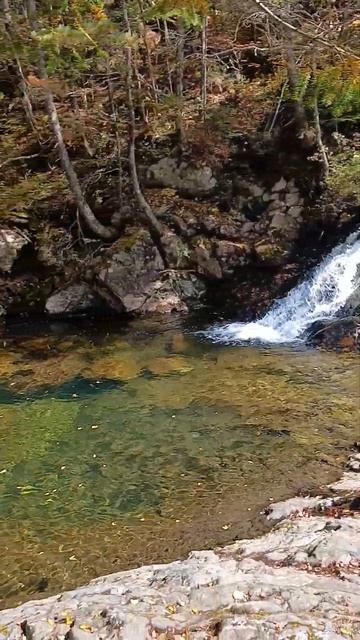Waterfall #nature #waterfall #приморскийкрай #shorts #forest